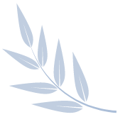 Drive Growth With Skill Power