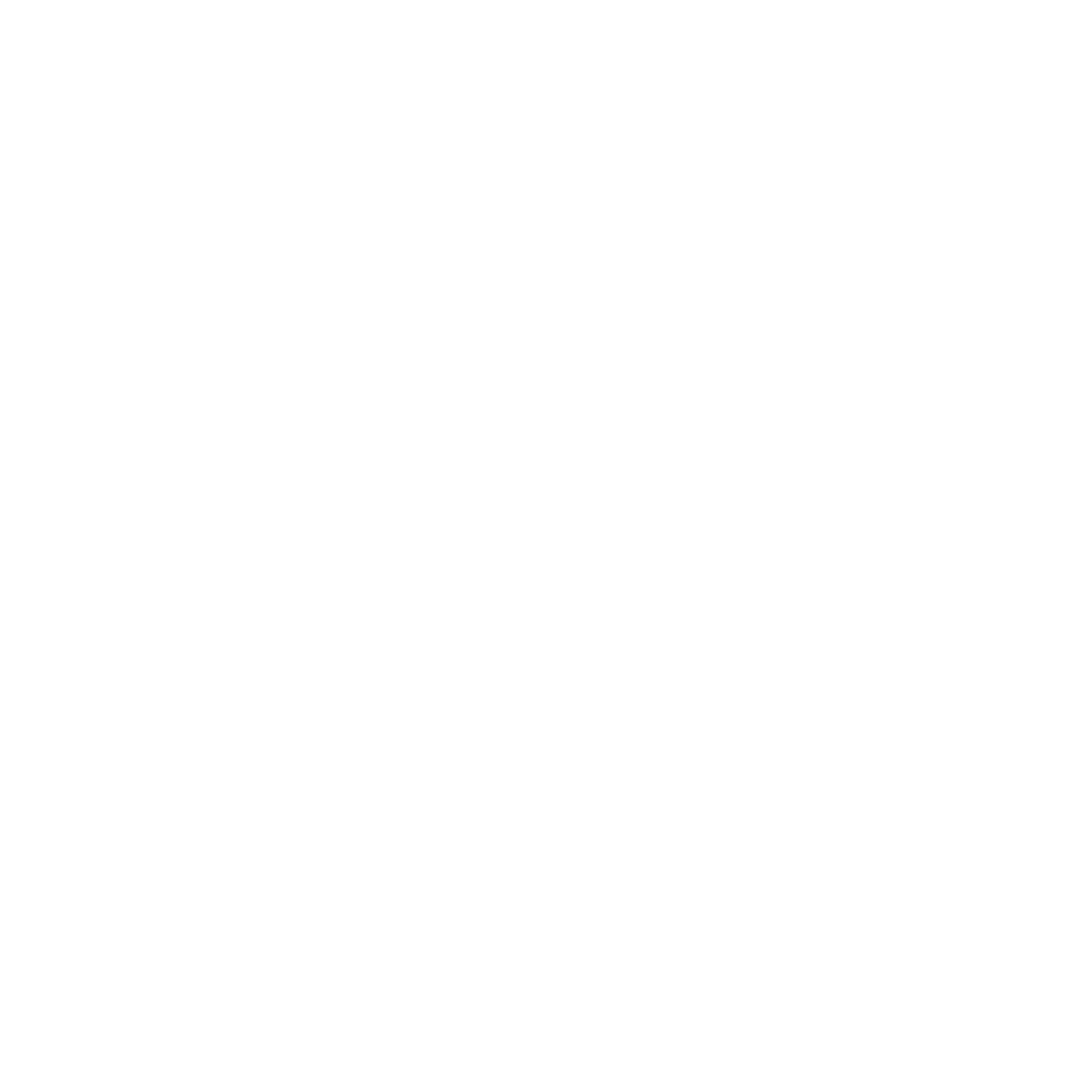SEO Consultations